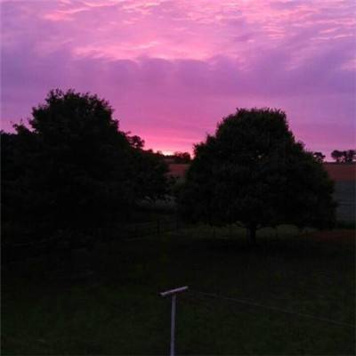 365be体育官方网站